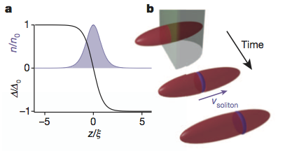 Heavy solitons in a fermionic superfluid