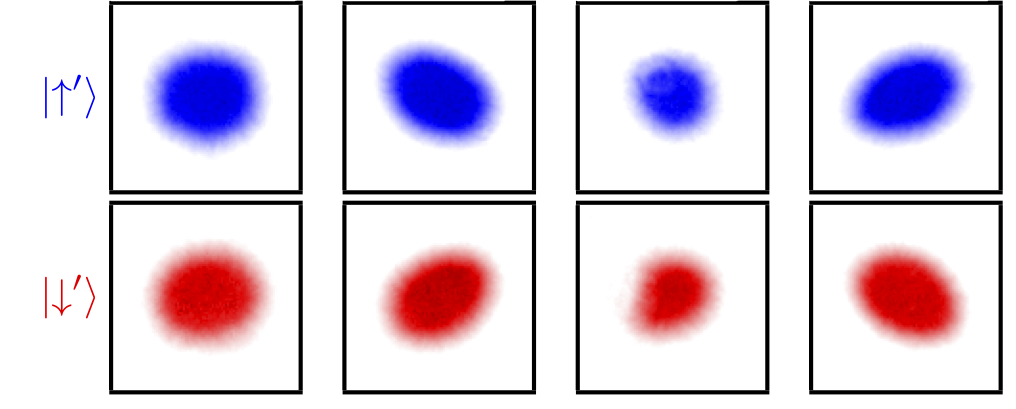 The spin Hall effect in a quantum gas