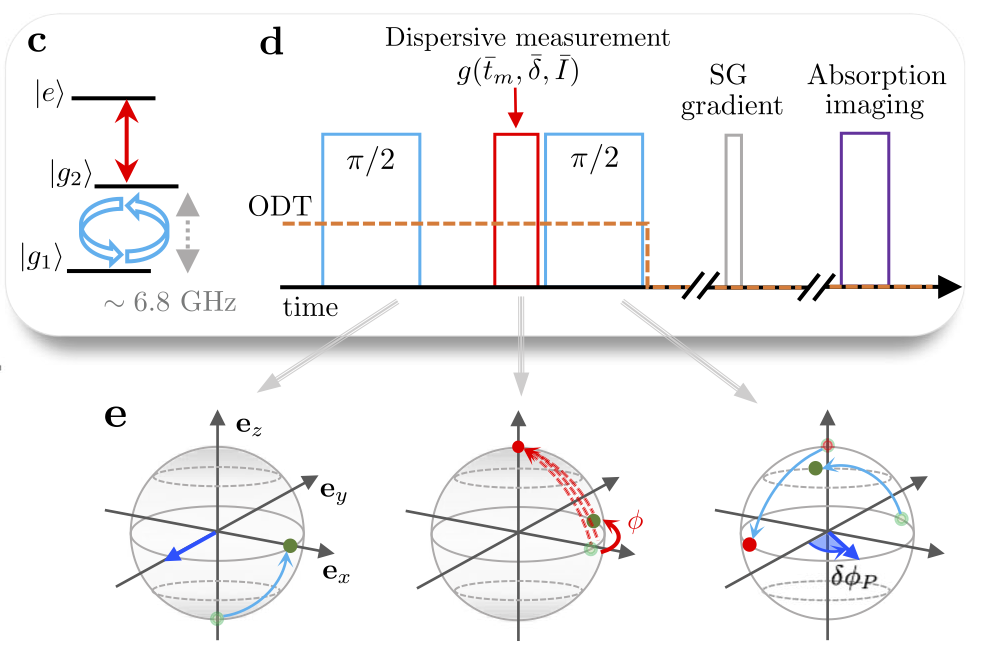 Quantum back-action limits in dispersively measured Bose-Einstein condensates