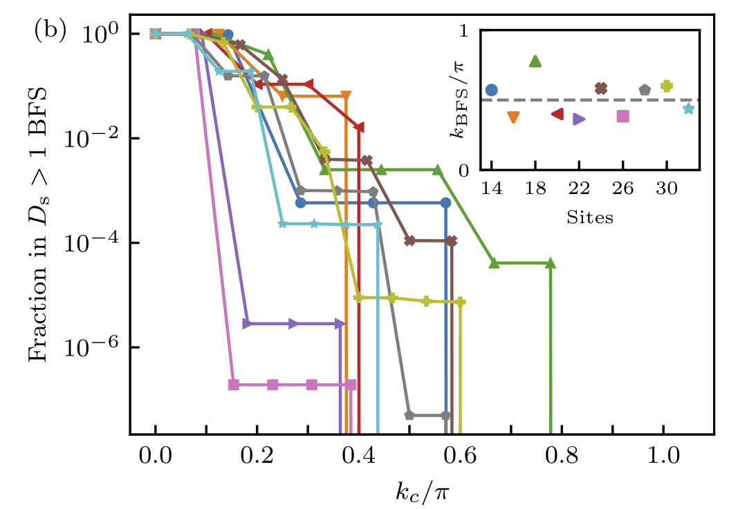 Measurement resolution enhanced coherence for lattice fermions