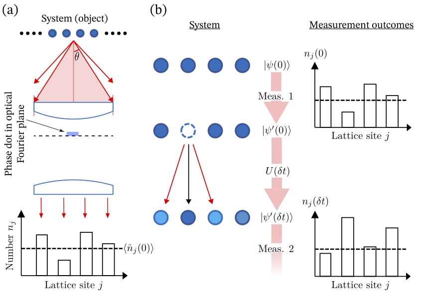 Dynamical structure factor from weak measurements