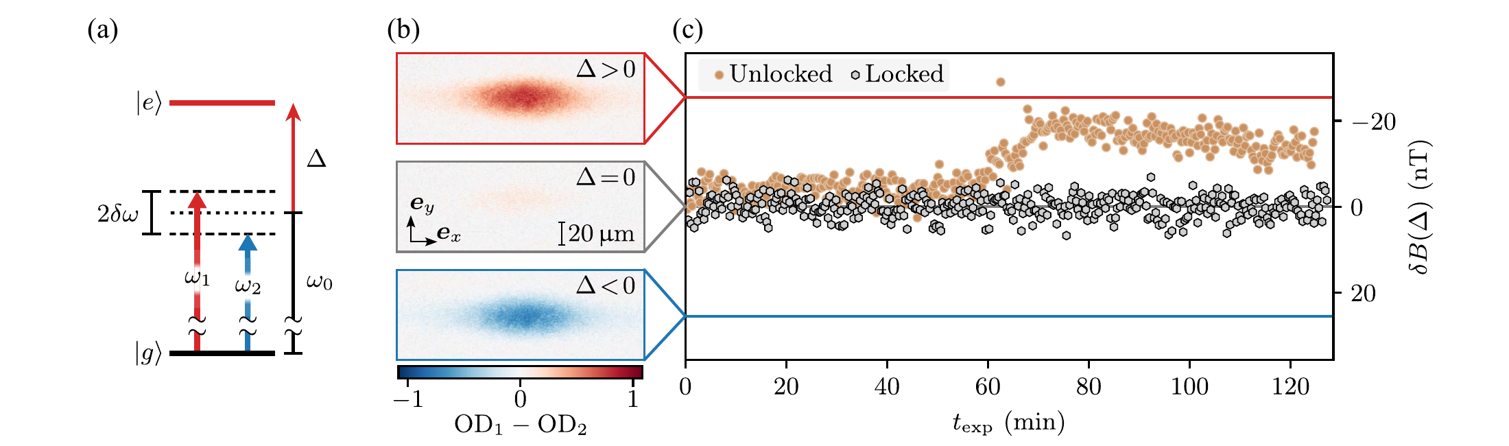 In situ magnetic-field stabilization for quantum-gas experiments